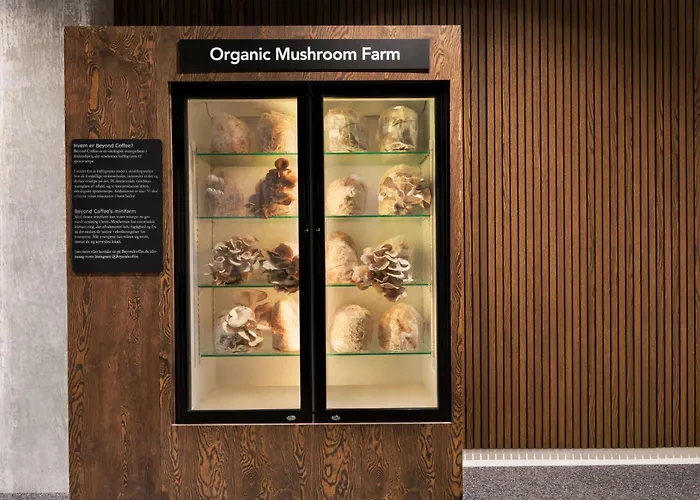 Comwell Portside Dolce By Wyndham 4*